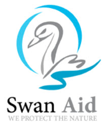 Logo Design Services - Image 11